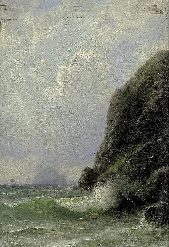 Vista di una costa rocciosa